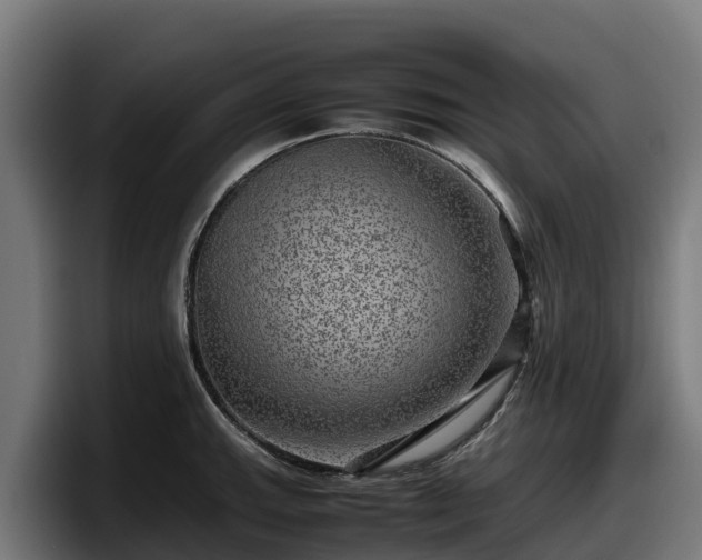 X0000097841143200803201513