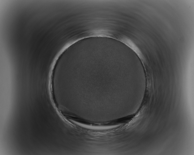 X0000097841144200803201513
