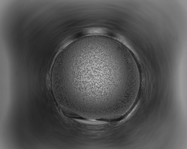 X0000097841145200803201513
