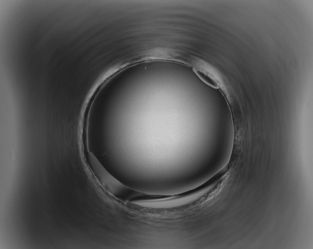 X0000097841146200803201513