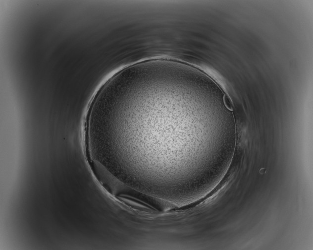 X0000097841151200803201513