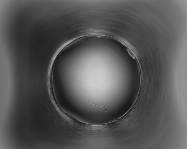 X0000097841152200803201513