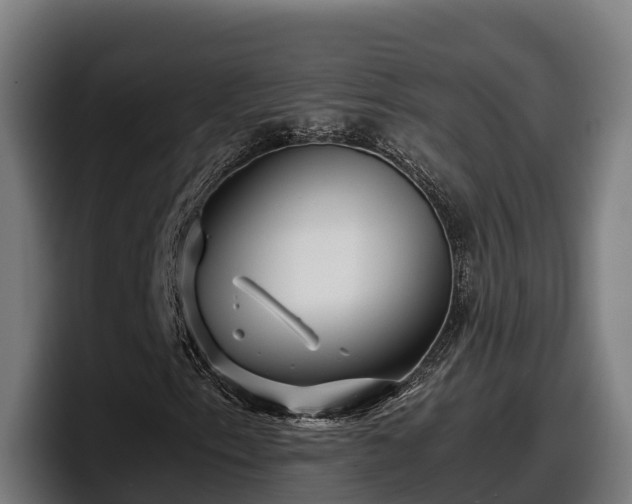 X0000097841153200803201512