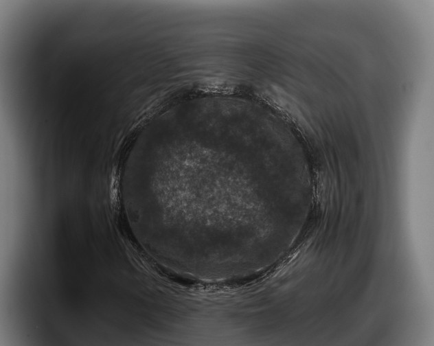 X0000097841154200803201512