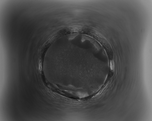X0000097841155200803201512