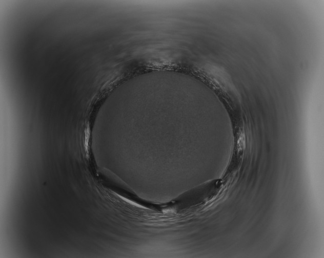 X0000097841156200803201512