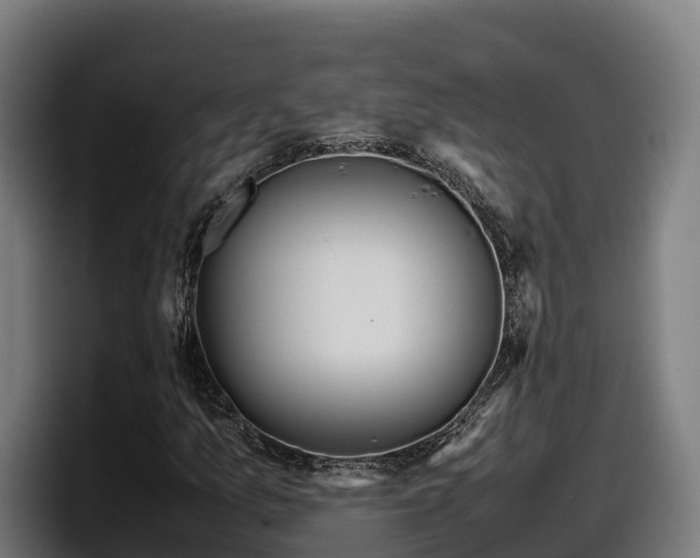 X0000097841157200803201512