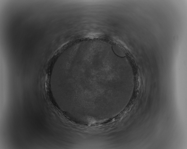X0000097841158200803201512