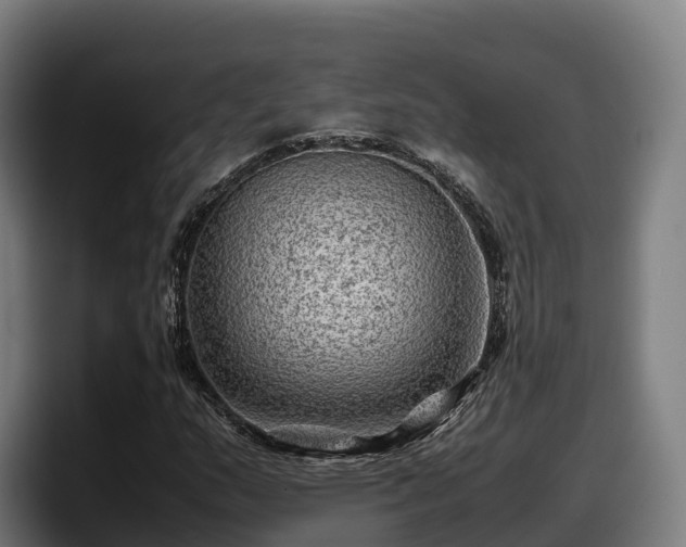 X0000097841159200803201512
