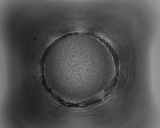 X0000097841160200803201512