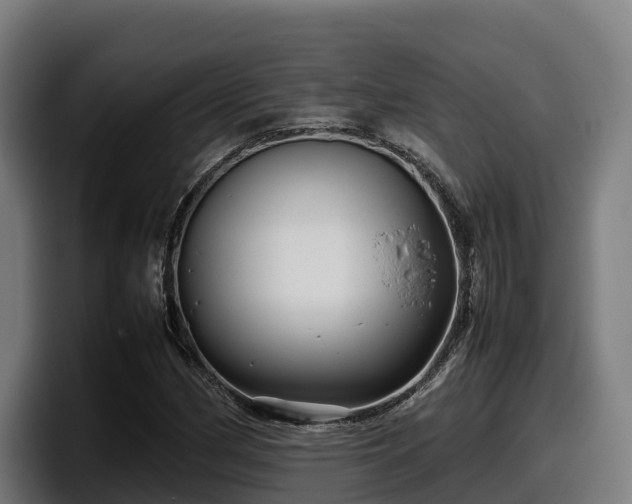 X0000097841162200803201512