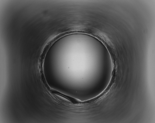 X0000097841164200803201512