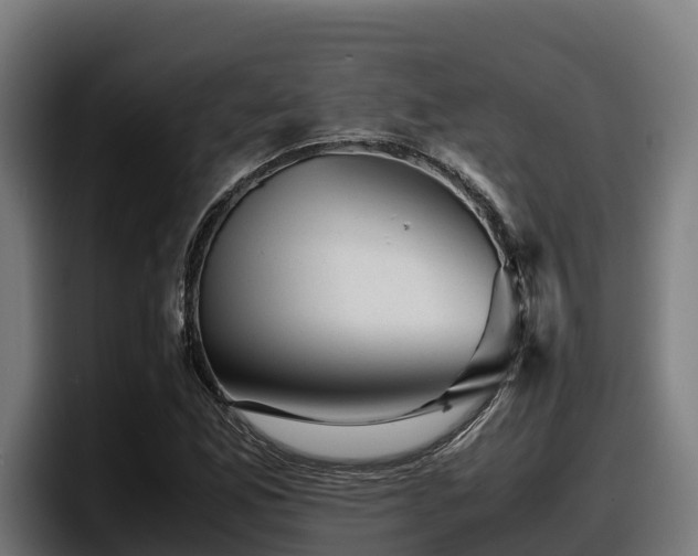 X0000097841165200803201512