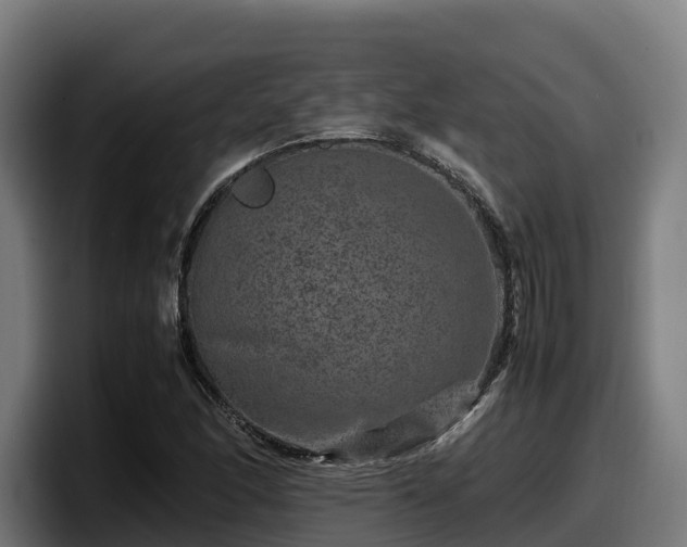 X0000097841166200803201512