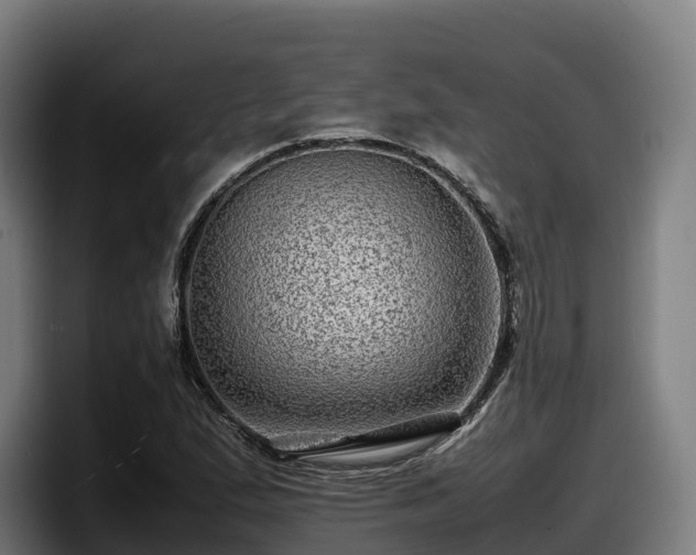 X0000097841167200803201512