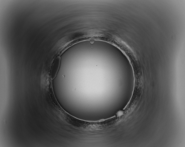 X0000097841169200803201512