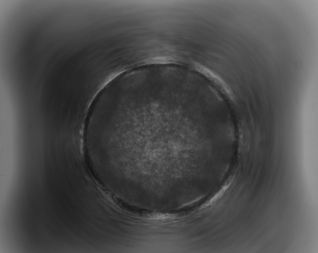 X0000097841170200803201512