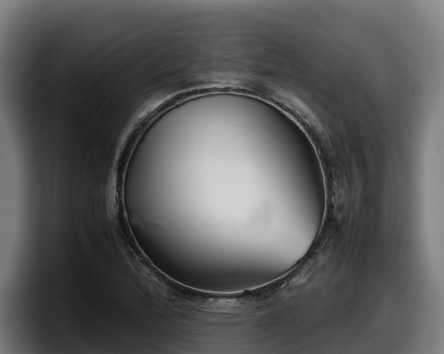 X0000097841172200803201512