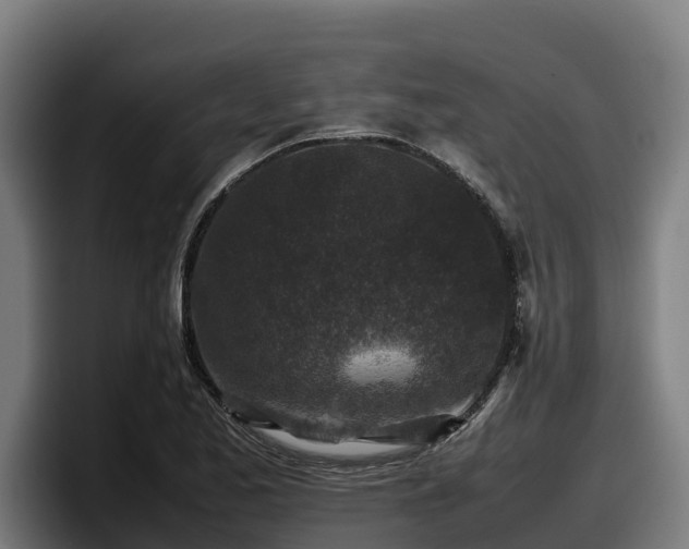 X0000097841173200803201512