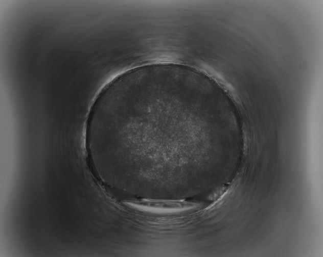 X0000097841174200803201512