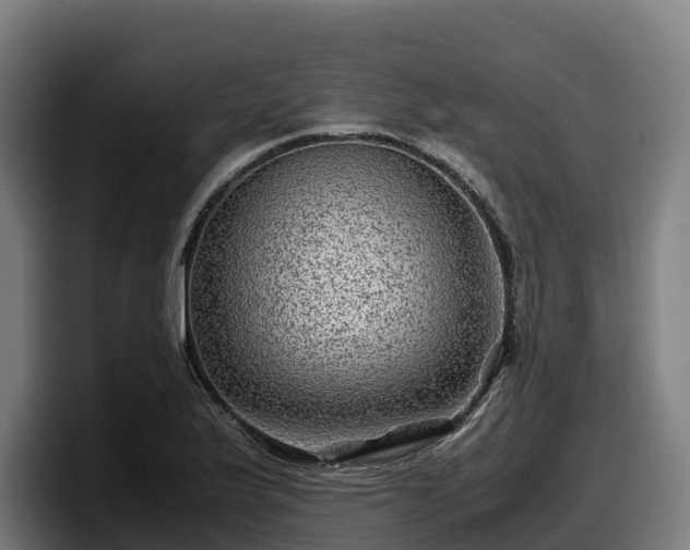 X0000097841175200803201512