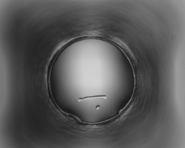 X0000097841176200803201512