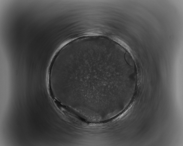 X0000097841179200803201512