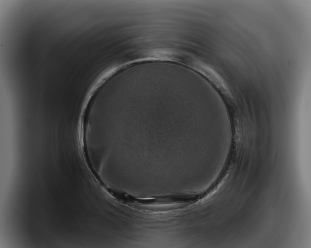 X0000097841180200803201512