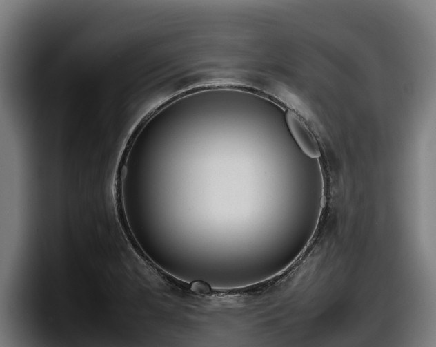 X0000097841181200803201512