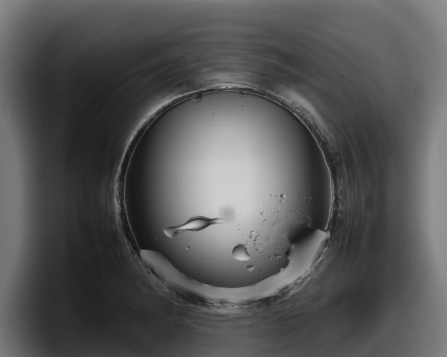 X0000097841182200803201512