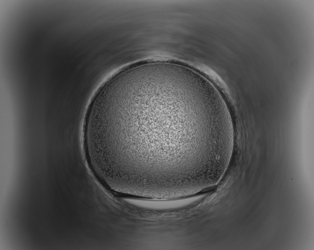 X0000097841183200803201512