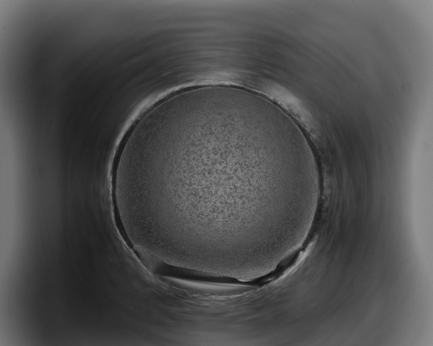 X0000097841184200803201512