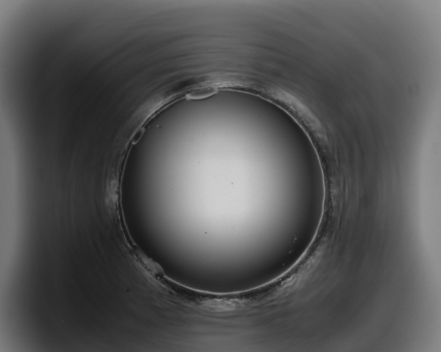 X0000097841185200803201512