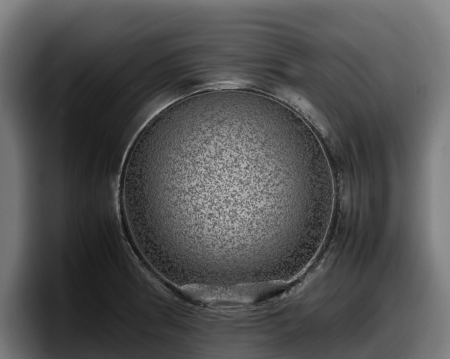 X0000097841186200803201512