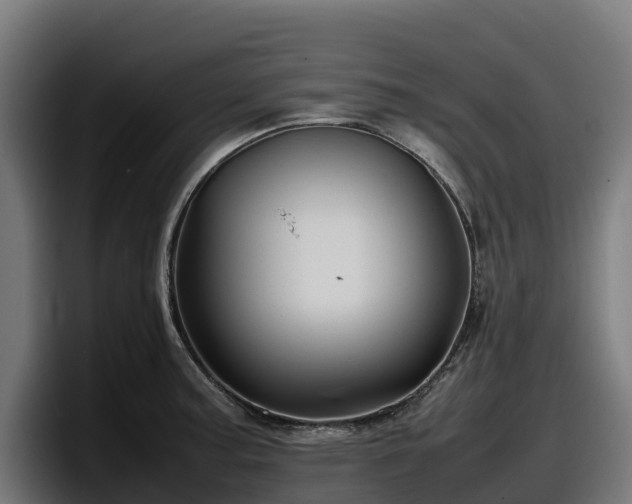 X0000097841187200803201512