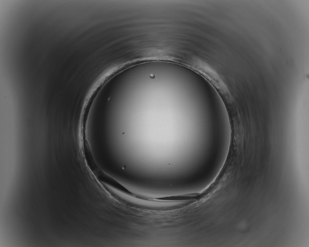 X0000097841188200803201512