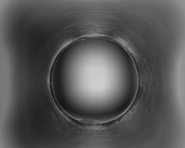 X0000097841189200803201512