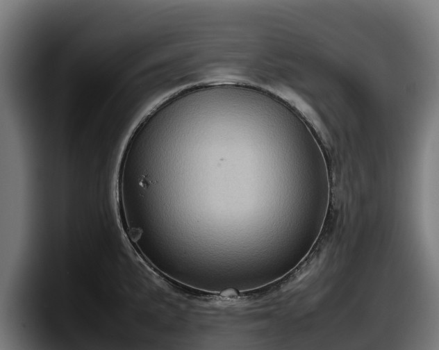 X0000097841191200803201512