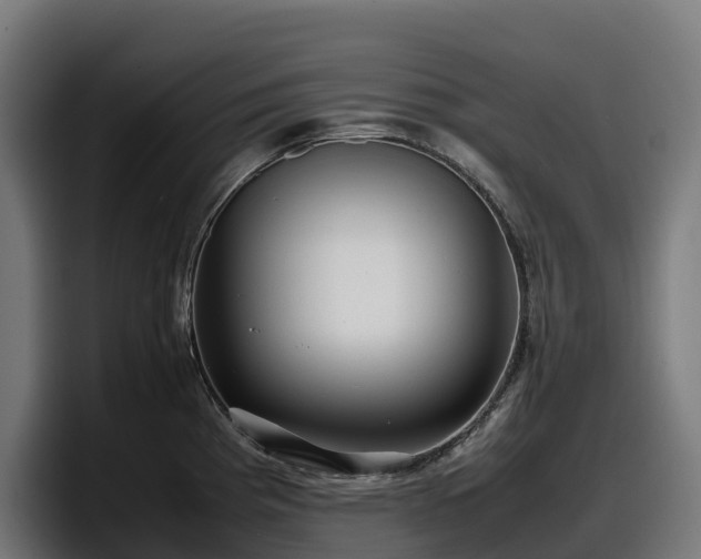X0000097841193200803201512