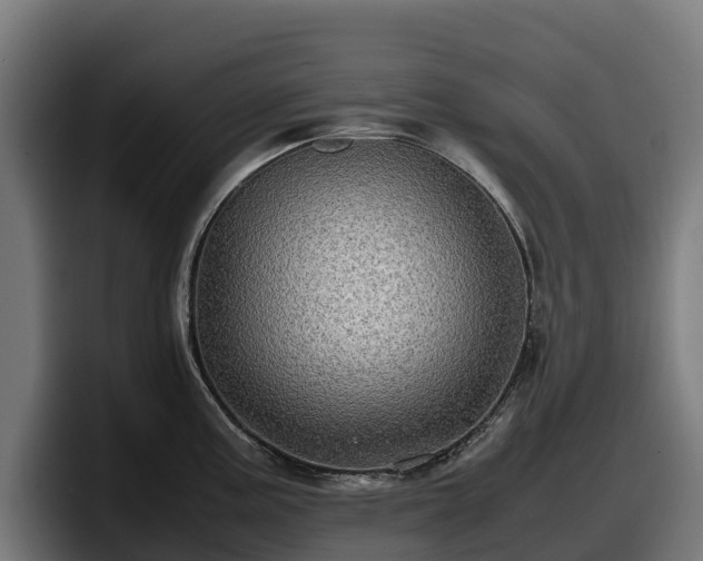 X0000097841195200803201512