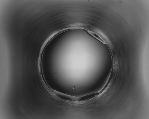 X0000097841196200803201512