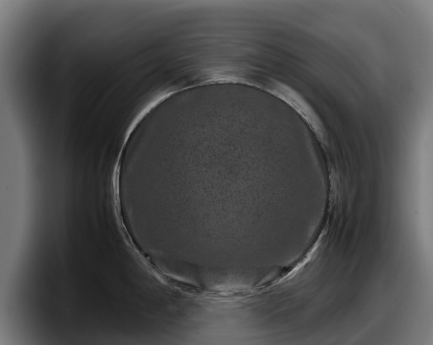 X0000097841198200803201512