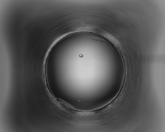 X0000097841200200803201512