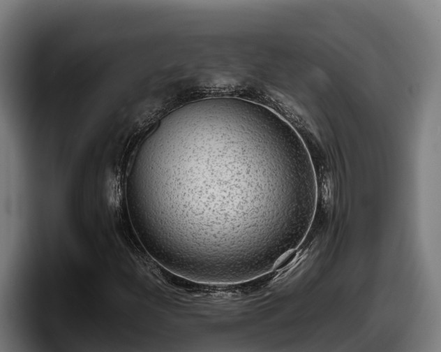 X0000097841204200803201511