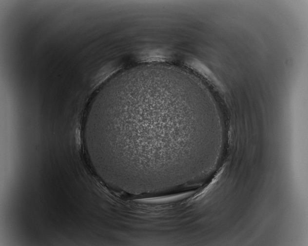 X0000097841209200803201511
