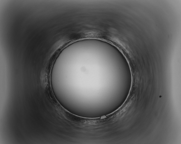 X0000097841211200803201511