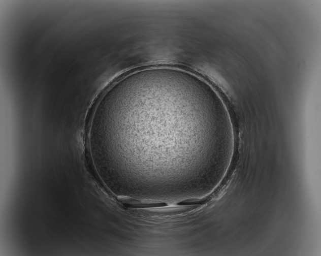 X0000097841212200803201511