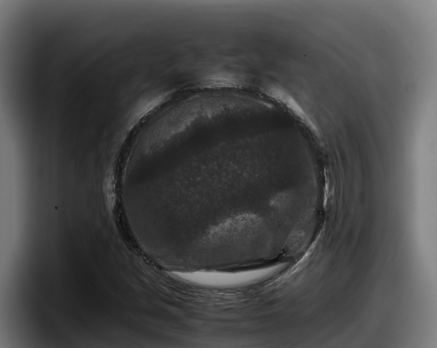 X0000097841213200803201511