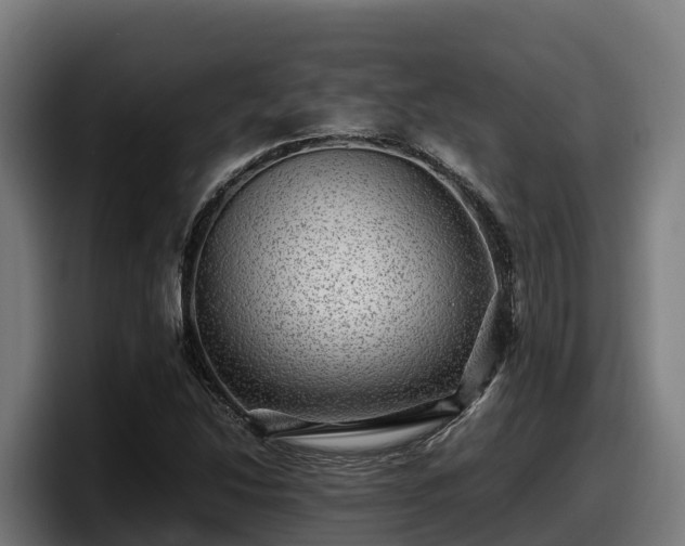 X0000097841214200803201511