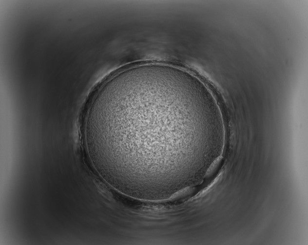 X0000097841215200803201511